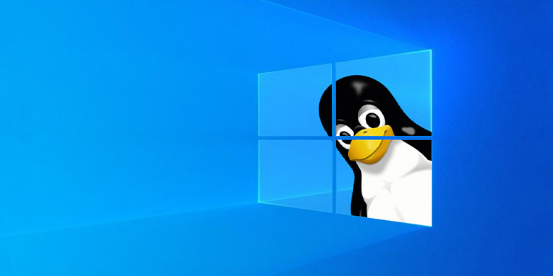 Windows 11 und Linux